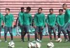 Revisi Harga Tiket Timnas vs Kamerun 